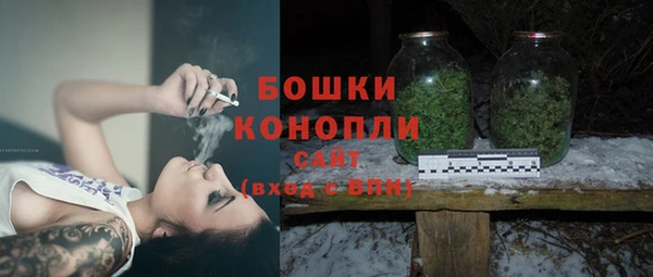 первитин Богданович