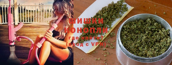 первитин Богданович